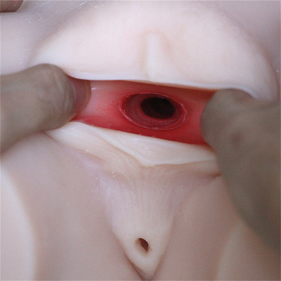 Masturbação grande da vagina do burro do peito de Toy Hot Selling Half Body do silicone vivo real para o homem dos homens