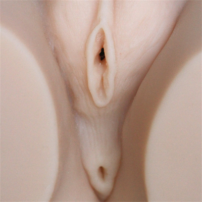 Masturbação grande da vagina do burro do peito de Toy Hot Selling Half Body do silicone vivo real para o homem dos homens