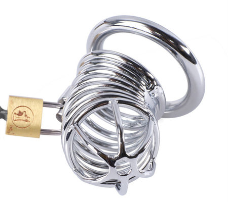 Metal castidade pênis galinha gaiola homens escravidão pênis bloqueio castidade tempo atrasar gaiolas dispositivo para homem