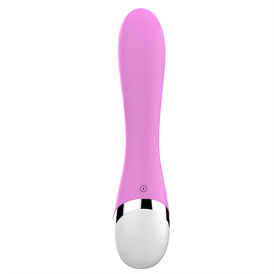 10 Velocidades Silicone Médico Brinquedos Sexuais Recarregáveis Vibrator Feminino