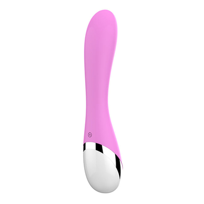 10 Velocidades Silicone Médico Brinquedos Sexuais Recarregáveis Vibrator Feminino