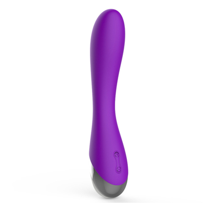 10 Velocidades Silicone Médico Brinquedos Sexuais Recarregáveis Vibrator Feminino