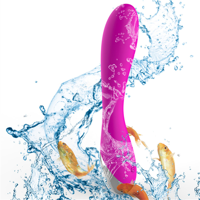 10 Velocidades Silicone Médico Brinquedos Sexuais Recarregáveis Vibrator Feminino