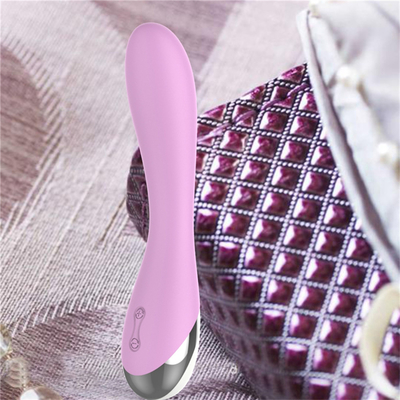 10 Velocidades Silicone Médico Brinquedos Sexuais Recarregáveis Vibrator Feminino